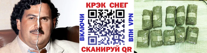 Купить  Судогда  COCAIN Fish Scale 