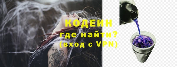 хмурый Арсеньев