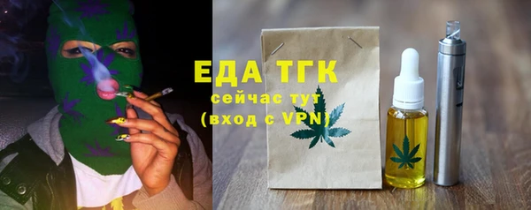 хмурый Арсеньев