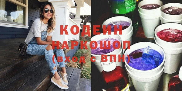 хмурый Арсеньев