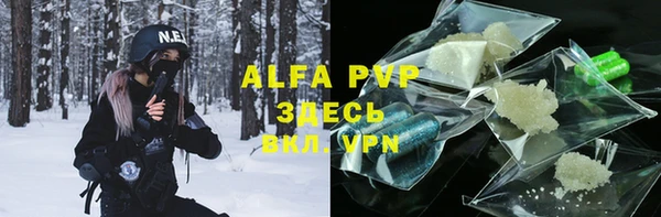 хмурый Арсеньев