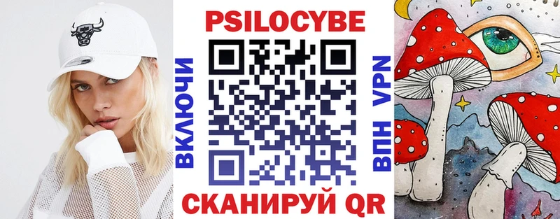 Купить где  Судогда  Галлюциногенные грибы мухоморы 